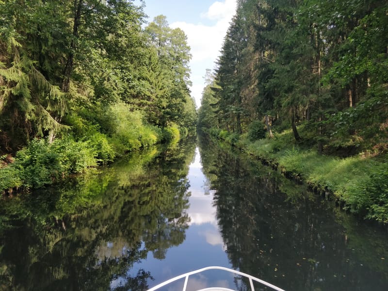 View from the bow into a green forest canal in morning light
